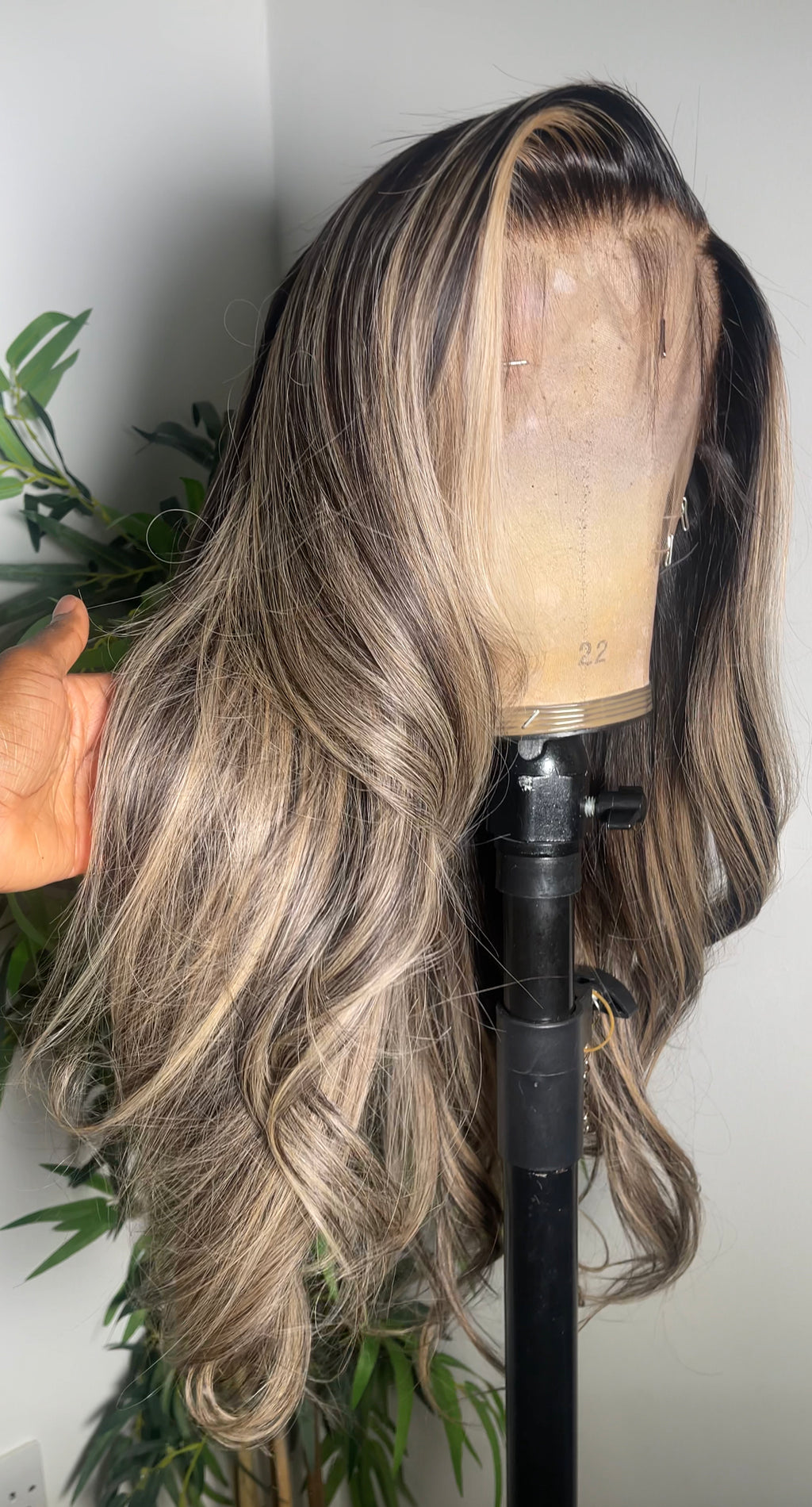 Havanna Brown 2.0 Cool tone