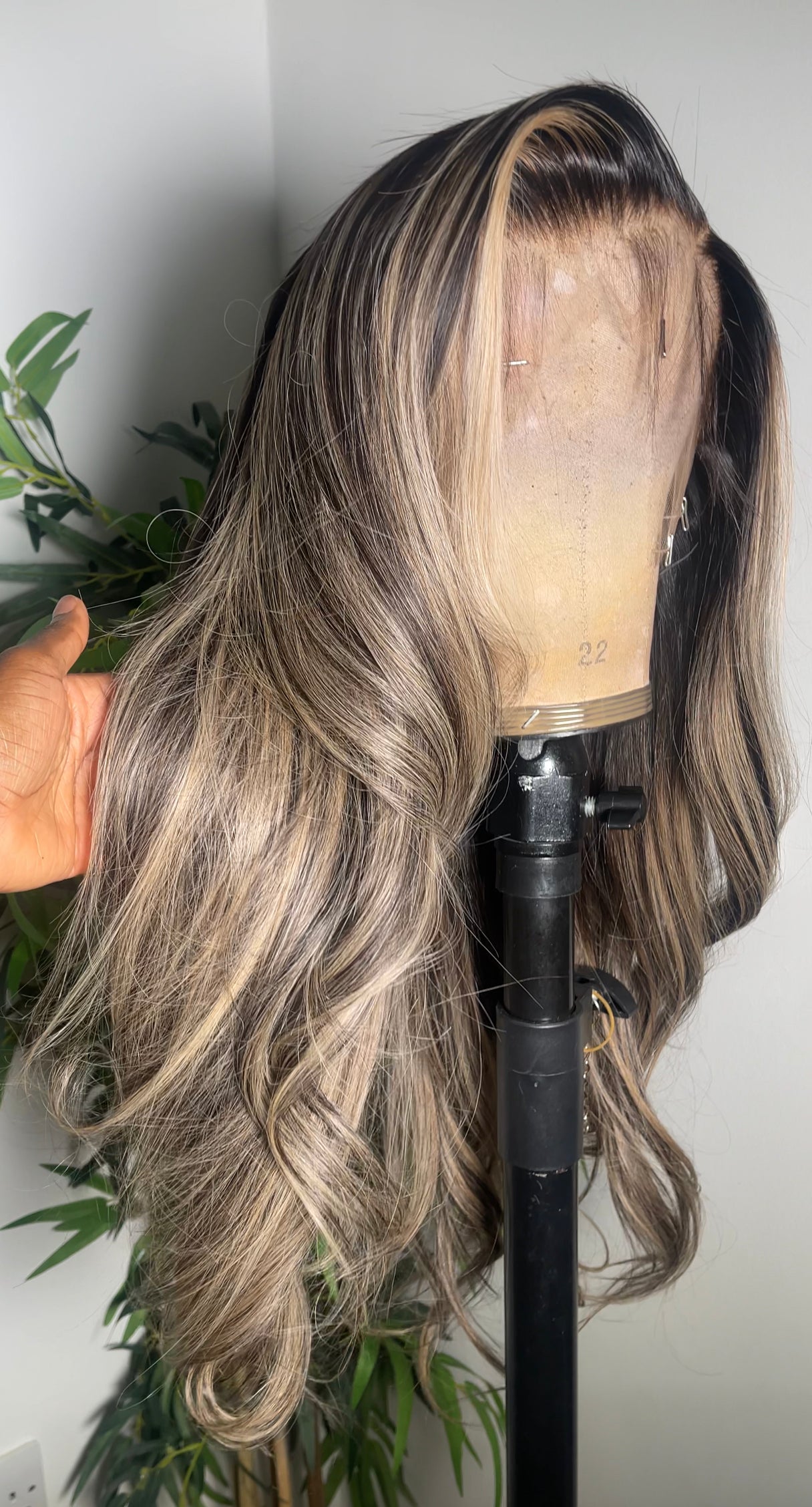 Havanna Brown 2.0 Cool tone