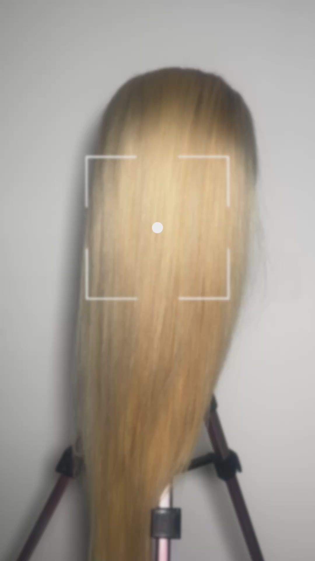 Champagne Blonde